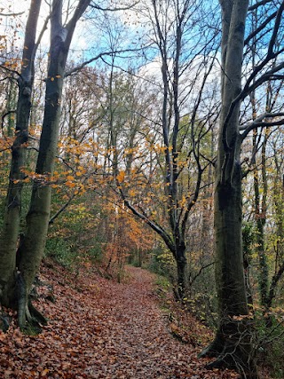 Moss Valley Country Park