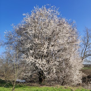 Waterhall Park