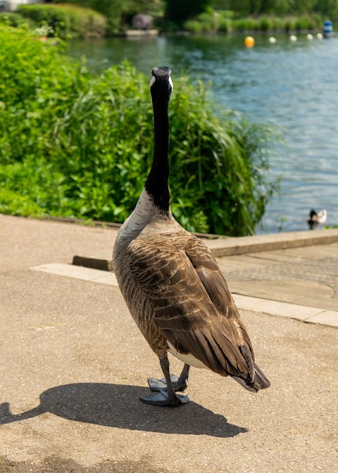 Stanborough Park