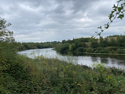 RSPB Fairburn Ings