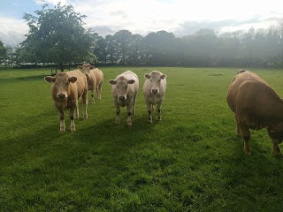 Animal Clinic Dunboyne