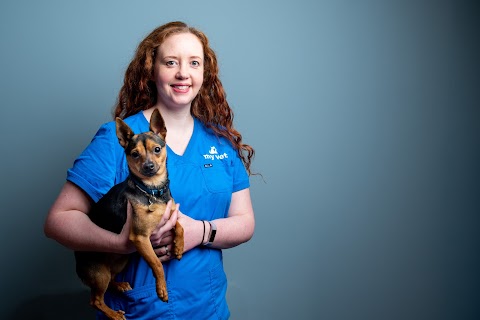 MyVet in Maynooth