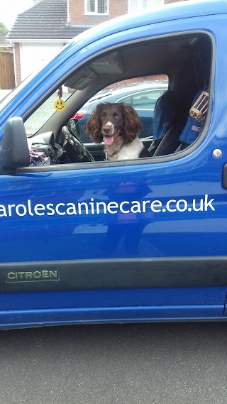 Caroles Canine Care