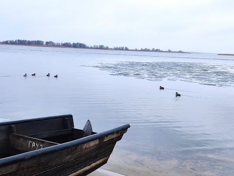 Ржищів берег Дніпра