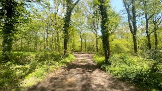 National Trust - Hembury and Holne Woods