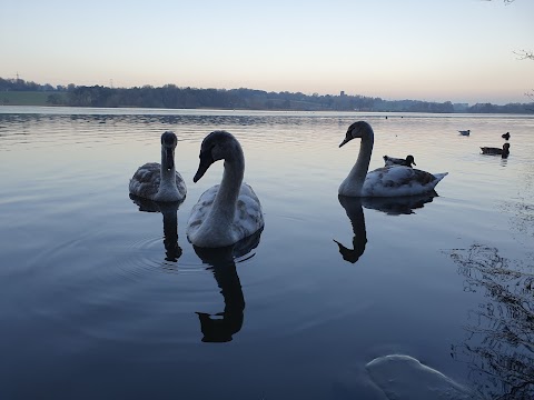 Marbury Country Park