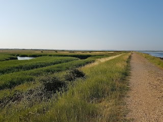 Farlington Marshes Nature Reserve