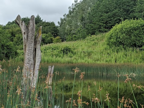 Anderton Nature Park