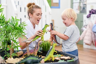 Toad Hall Nursery