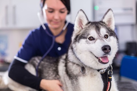 Albert Cottage Veterinary Clinic