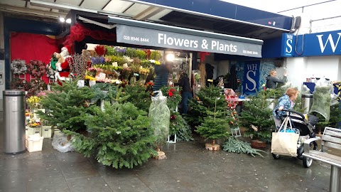 Wimbledon Flower Kiosk