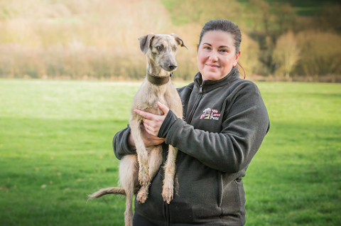 We Love Pets Pendle - Dog Walker, Pet Sitter & Home Boarder