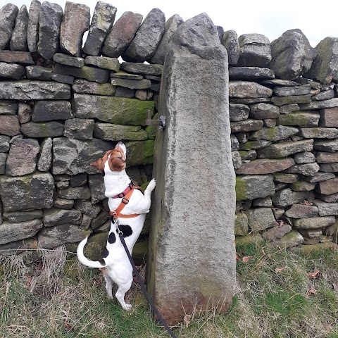 Four Legged Friends Sheffield