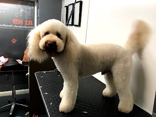 A1K9 Dog Grooming