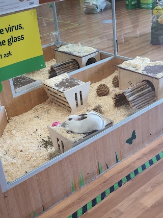 Pets at Home Brentford