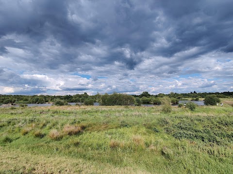 Tameside Local Nature Reserve