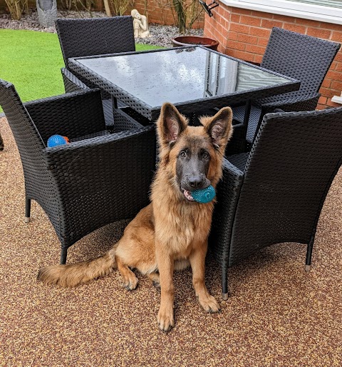 Swadlincote Veterinary Centre