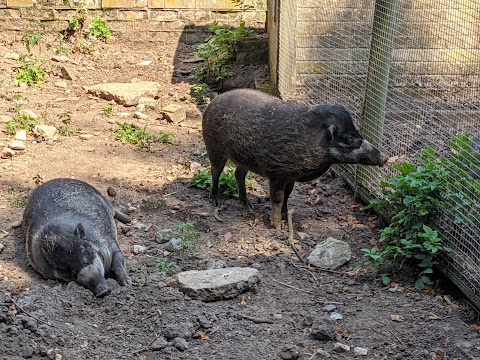 Thrigby Hall Wildlife Gardens