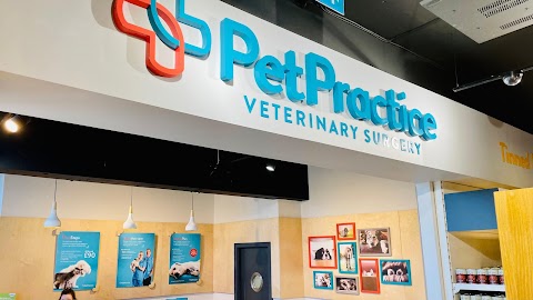 Pet Practice Veterinary Surgery