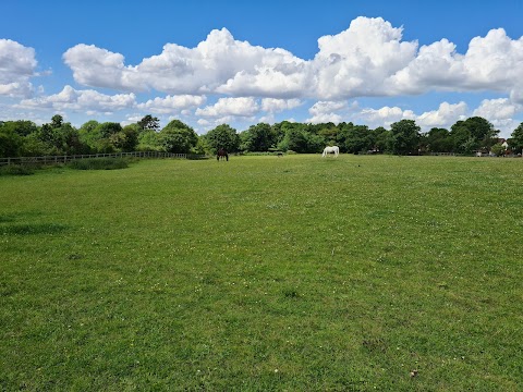 Darenth Country Park