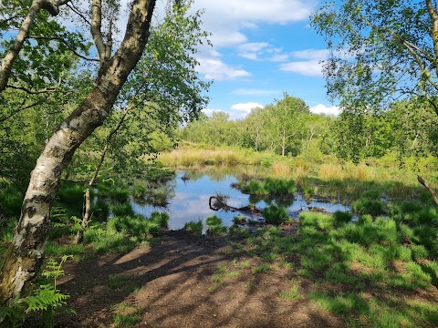 Thurstaston Hill