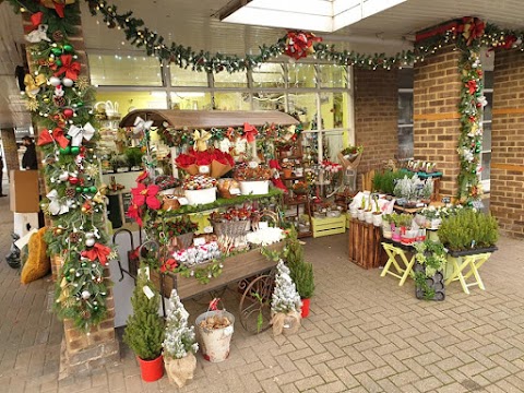 The Flower Shop Littlehampton