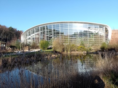 Center Parcs Woburn Forest