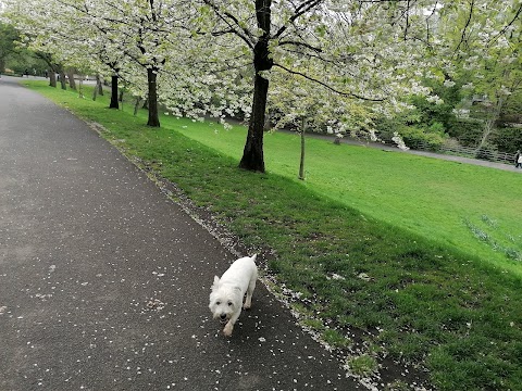 Knightswood Park