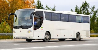 Scenic Coach Tours