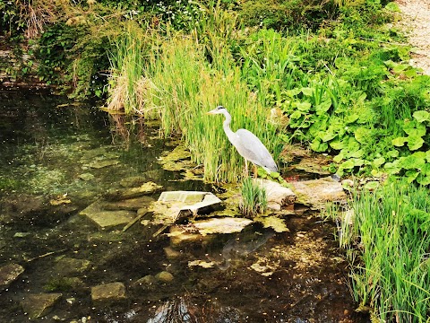 Ruskin Mill College