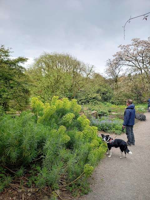 National Trust - Rowallane Garden