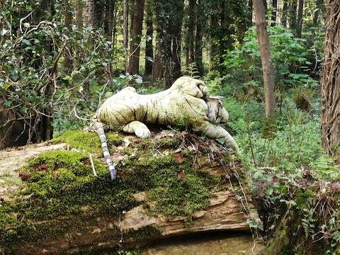 Narrow Water Forest