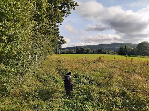 Beechwood Hall & Rural Park