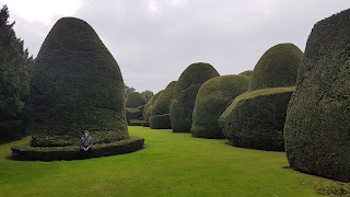 Derwent College - York