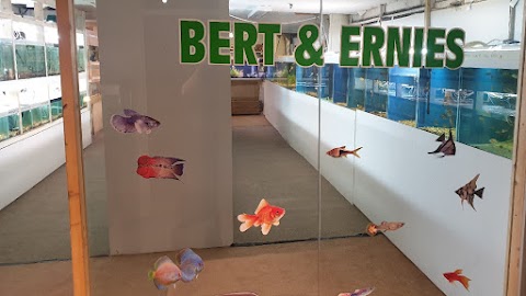 Bert And Ernies Tropical Fish Shop