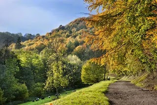 National Trust - Woodchester Park