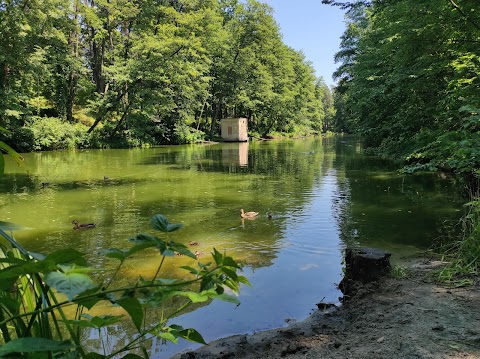 Пляж Пуща Водица