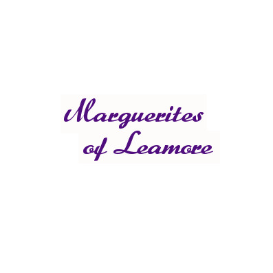 Marguerites Of Leamore