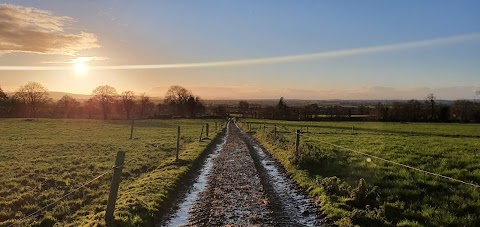 Ireland Virtual Tours