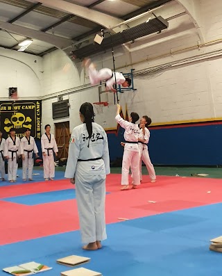 Sport Taekwondo Ireland