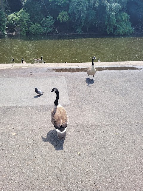 Platt Fields Park