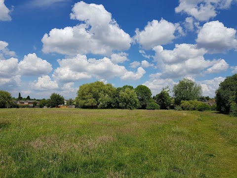 Langley Hall Park - Nature Reserve