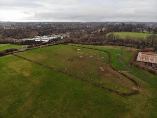 Dog Run - St. Catherine's Park