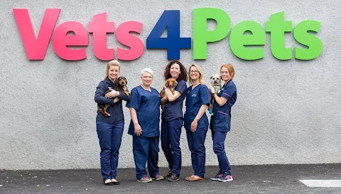 Vets4Pets - Newtownards