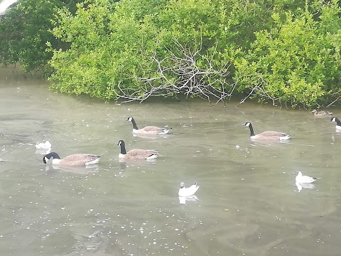 Sophie’s Pond