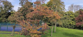 Taylor Park play area