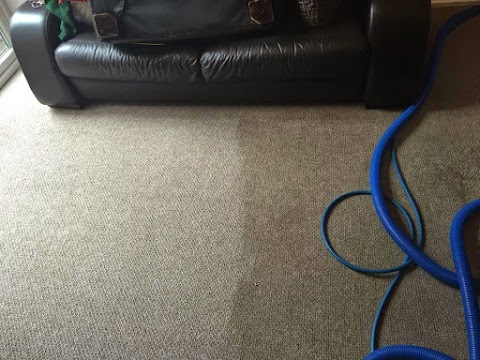 AZ Carpet Cleaning