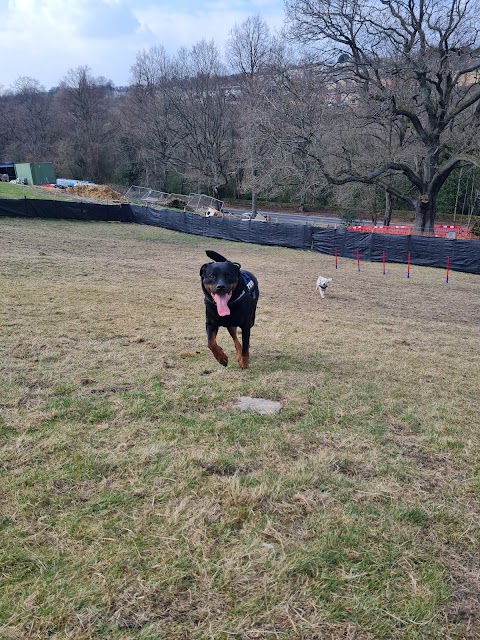 Rivelin Valley Dog Park