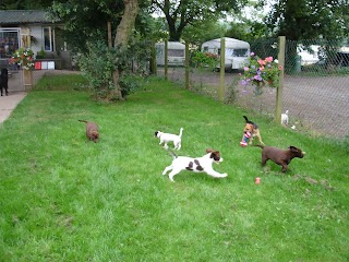 Oak Farm kennels and And Doggy Day Care