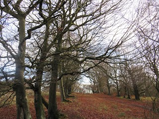 Linhouse Glen